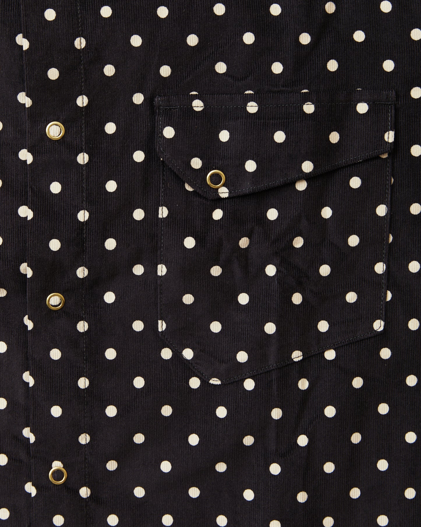 Indigofera Ike Corduroy Polkadot Black Shirt