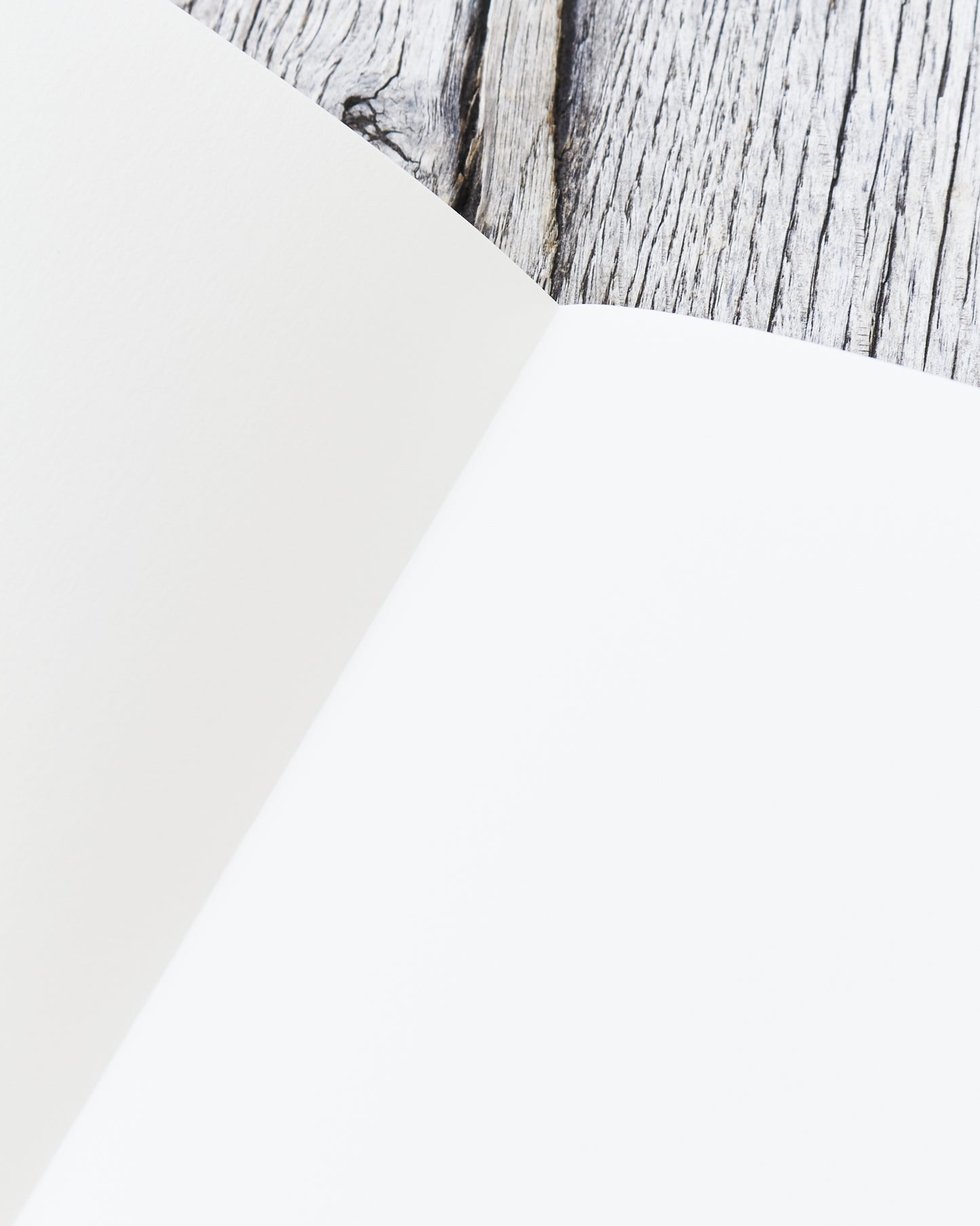 Traveler’s Company #032 Regular Notebook Accordion Fold Paper