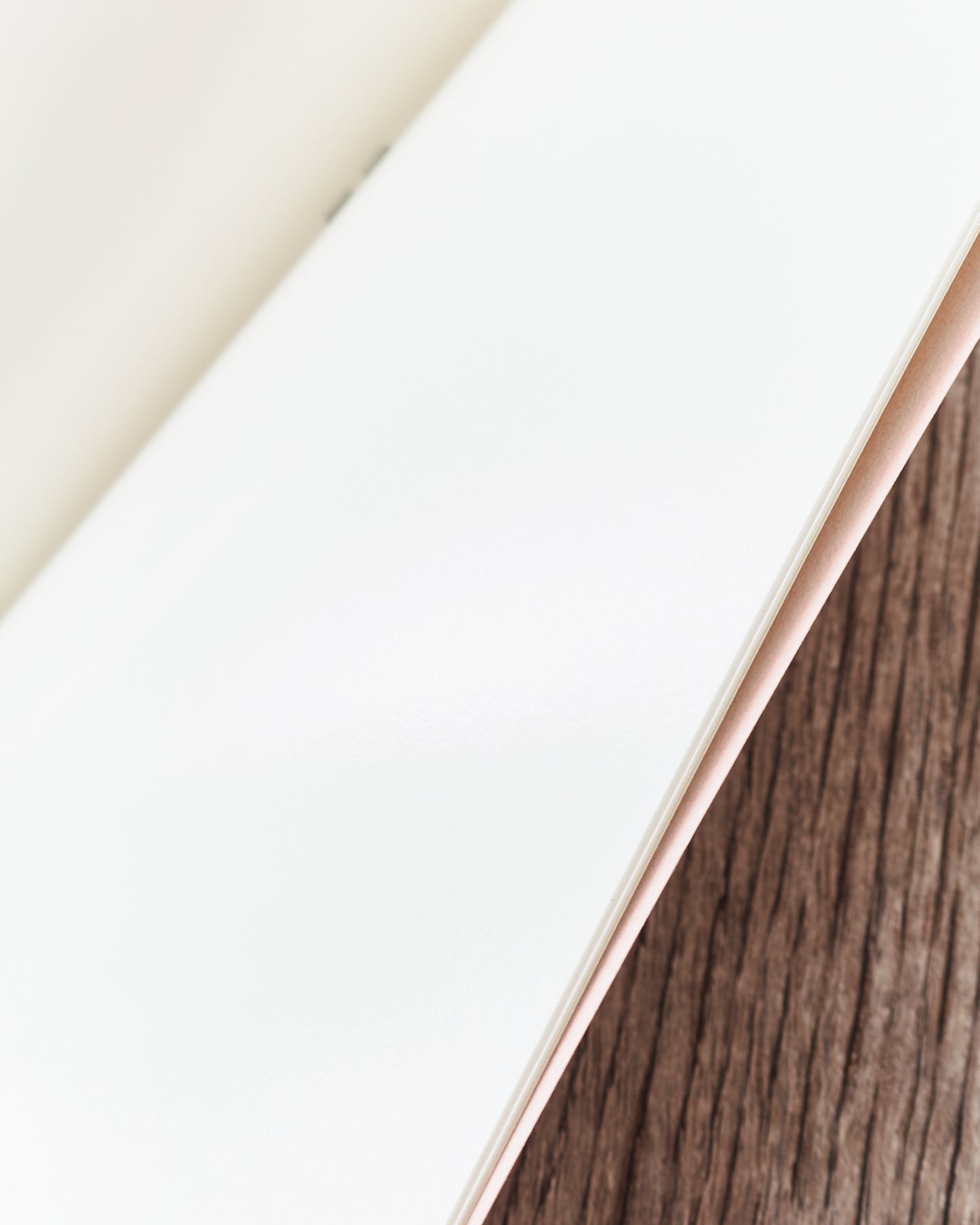 Traveler's Company #031 Regular Notebook Sticker Release Paper