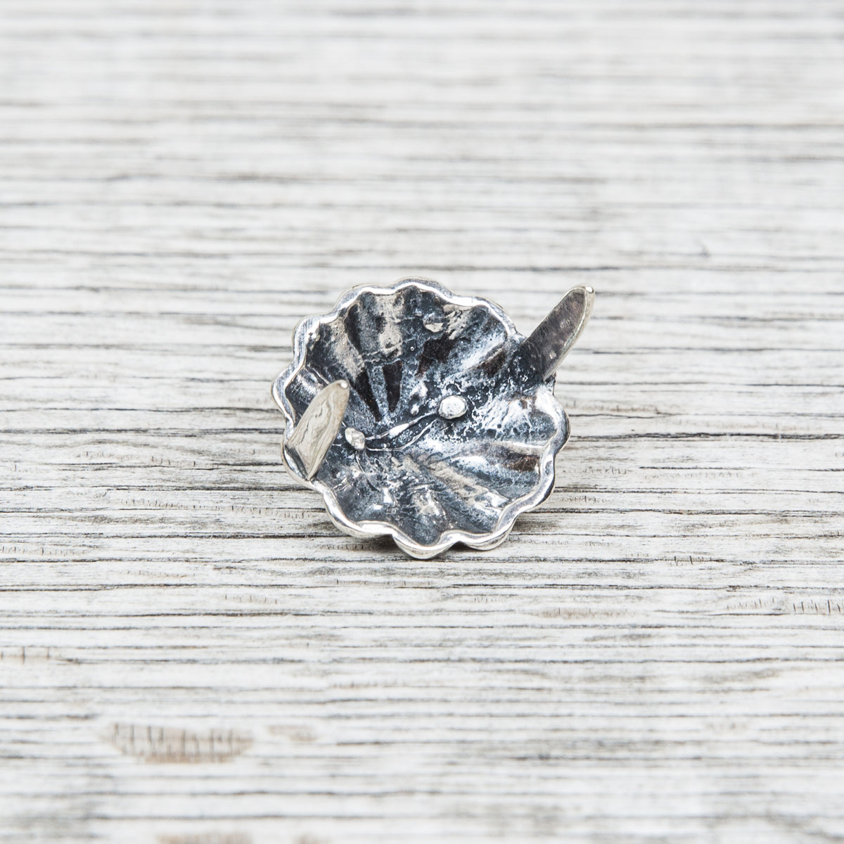 Larry Smith Shell Concha Turquoise Stud OT-C0081
