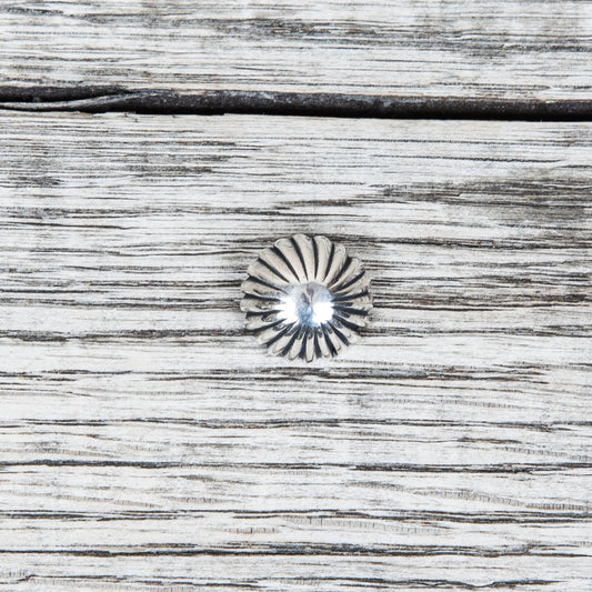 Larry Smith Classic Shell Concha Button OT-C0136