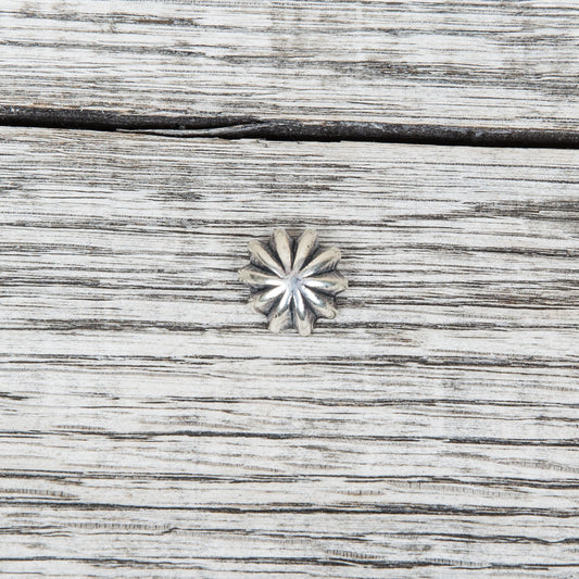 Larry Smith Shell Concha Button Small OT-C0009