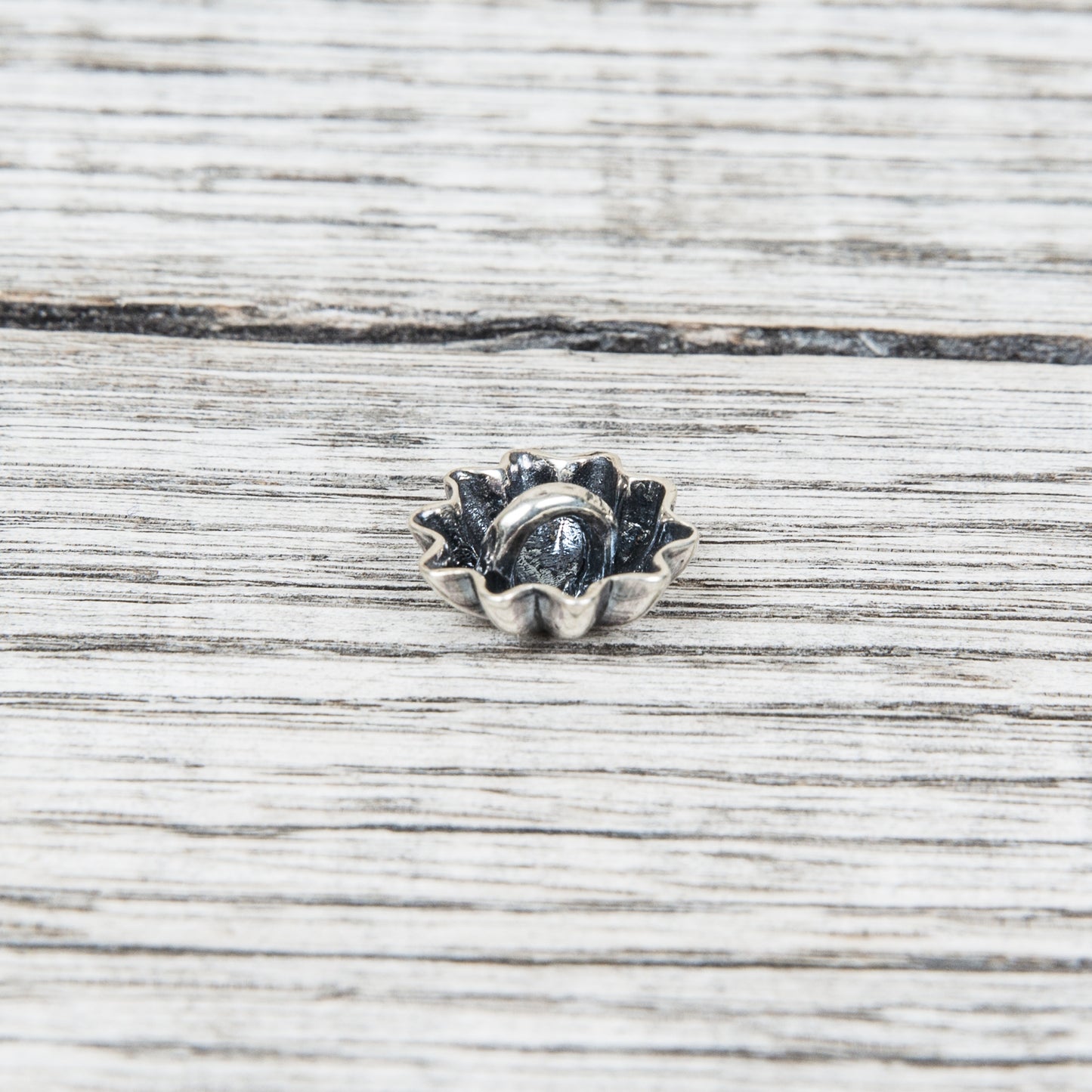 Larry Smith Shell Concha Button Small OT-C0009