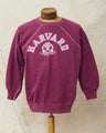 Vintage 80's Champion Harvard Sweatshirt XL