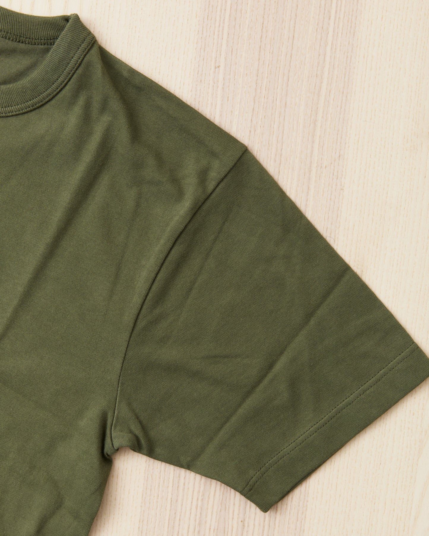 Buzz Rickson's BR78960 Package T-Shirt Government Issue Olive