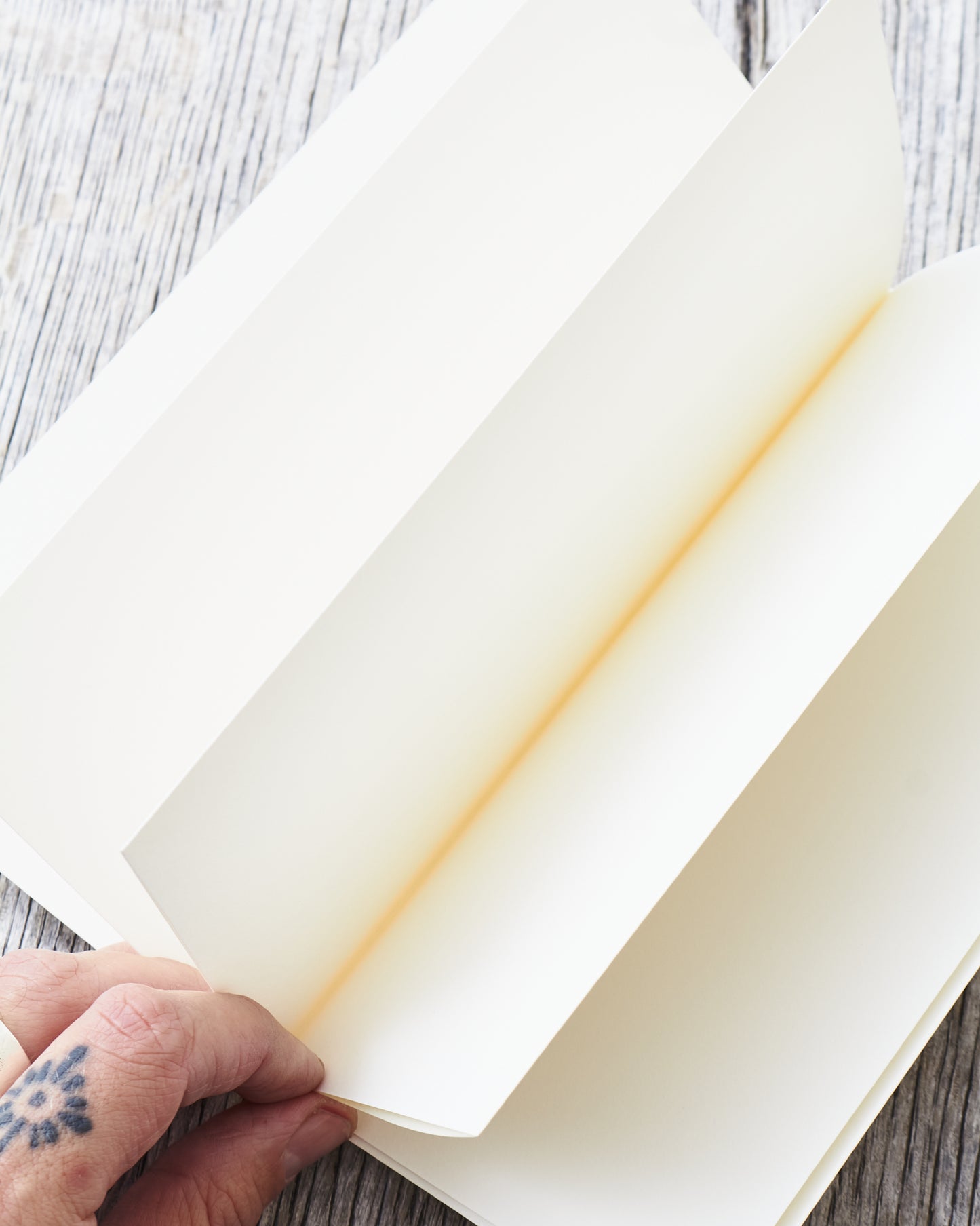 Traveler’s Company #032 Regular Notebook Accordion Fold Paper