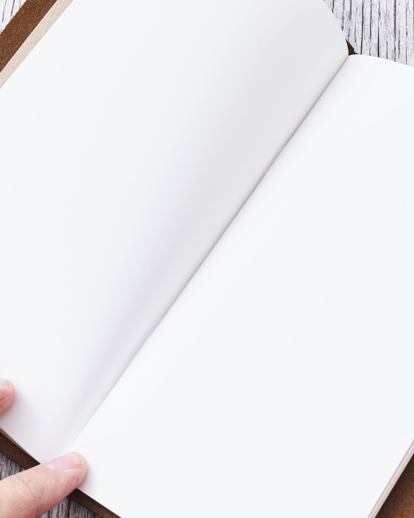 Traveler’s Company Notebook Regular Olive