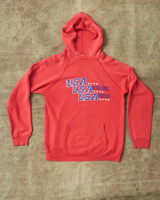 Vintage 80/90's Champion USA Hoodie Red L