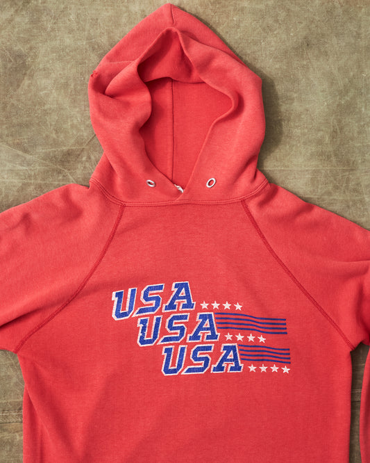 Vintage 80/90's Champion USA Hoodie Red L