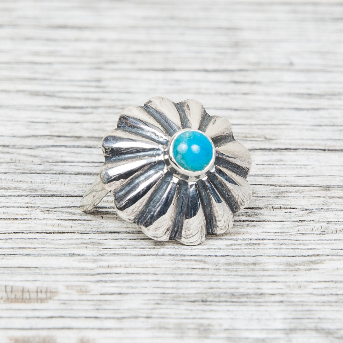 Larry Smith Shell Concha Turquoise Stud OT-C0081