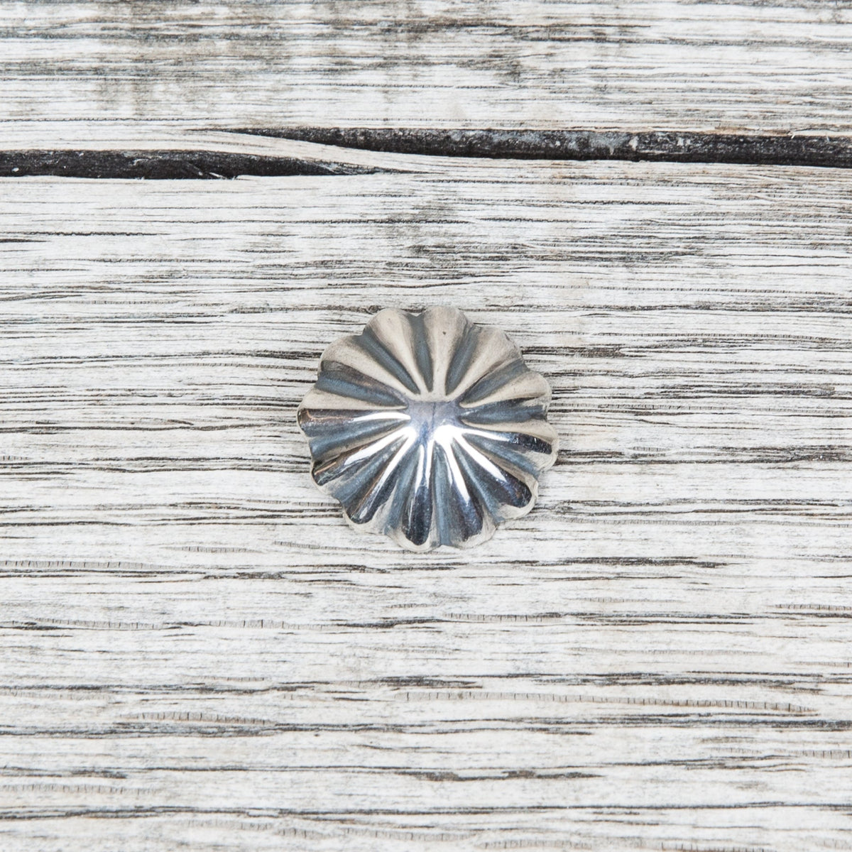 Larry Smith Shell Concha Button Medium OT-C0010
