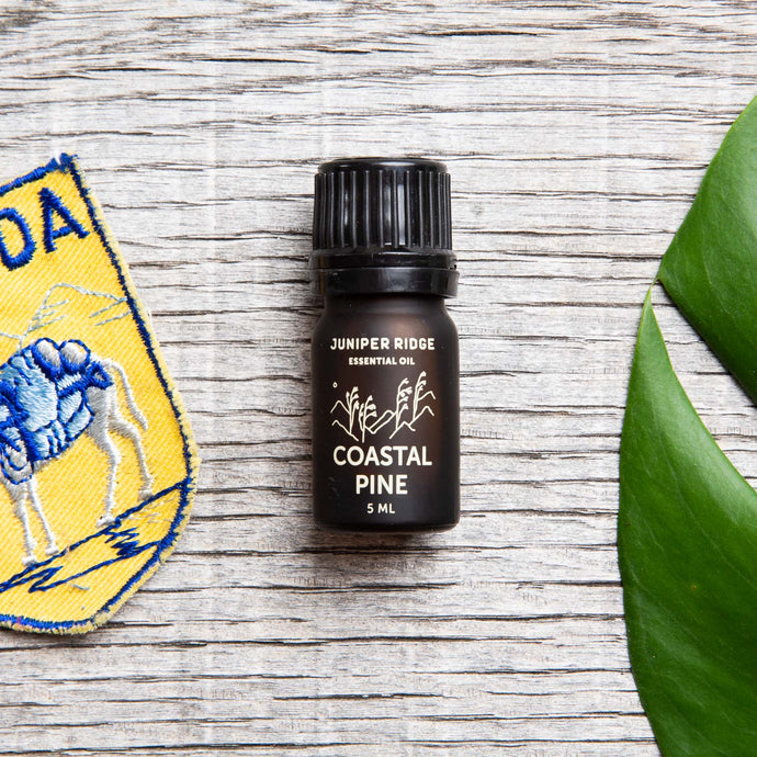 Juniper Ridge Essential Oils Coastal Pine