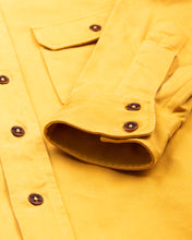 Indigofera Alamo Shirt Yellow Hornet