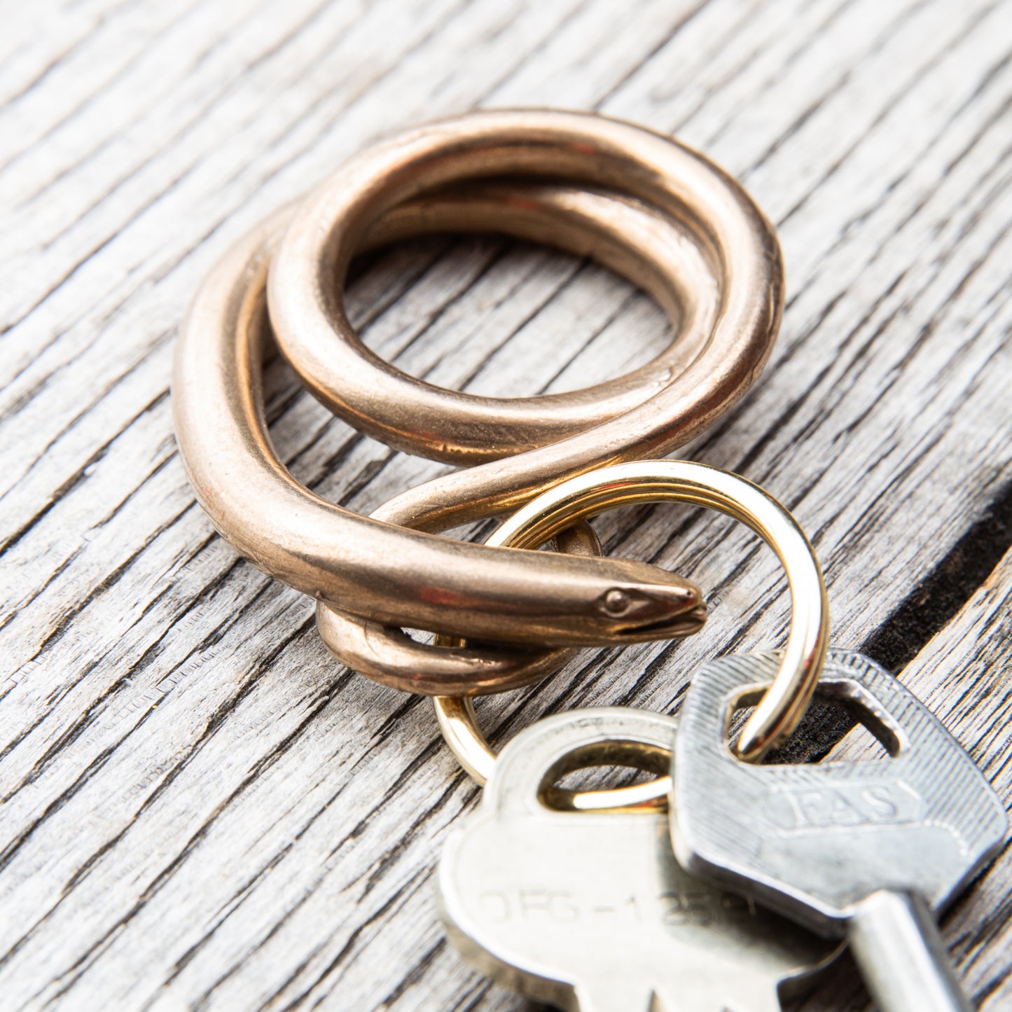 Tender Lost Wax Cast Bronze Slow Worm Keyring