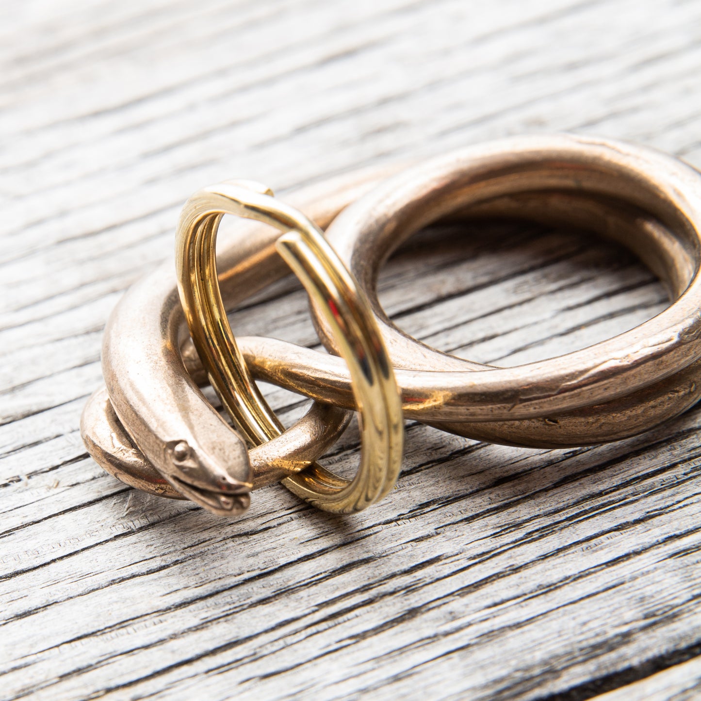 Tender Lost Wax Cast Bronze Slow Worm Keyring