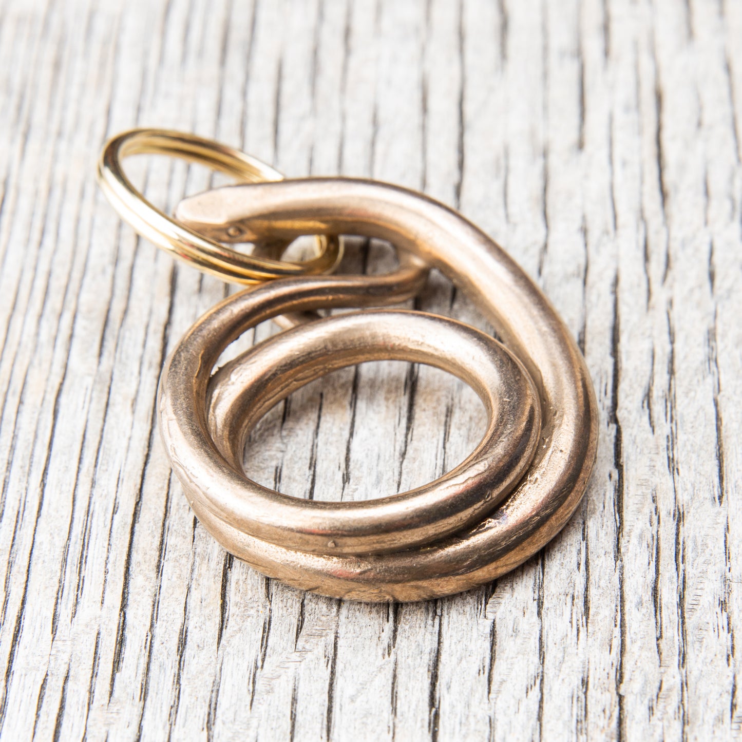 Tender Lost Wax Cast Bronze Slow Worm Keyring