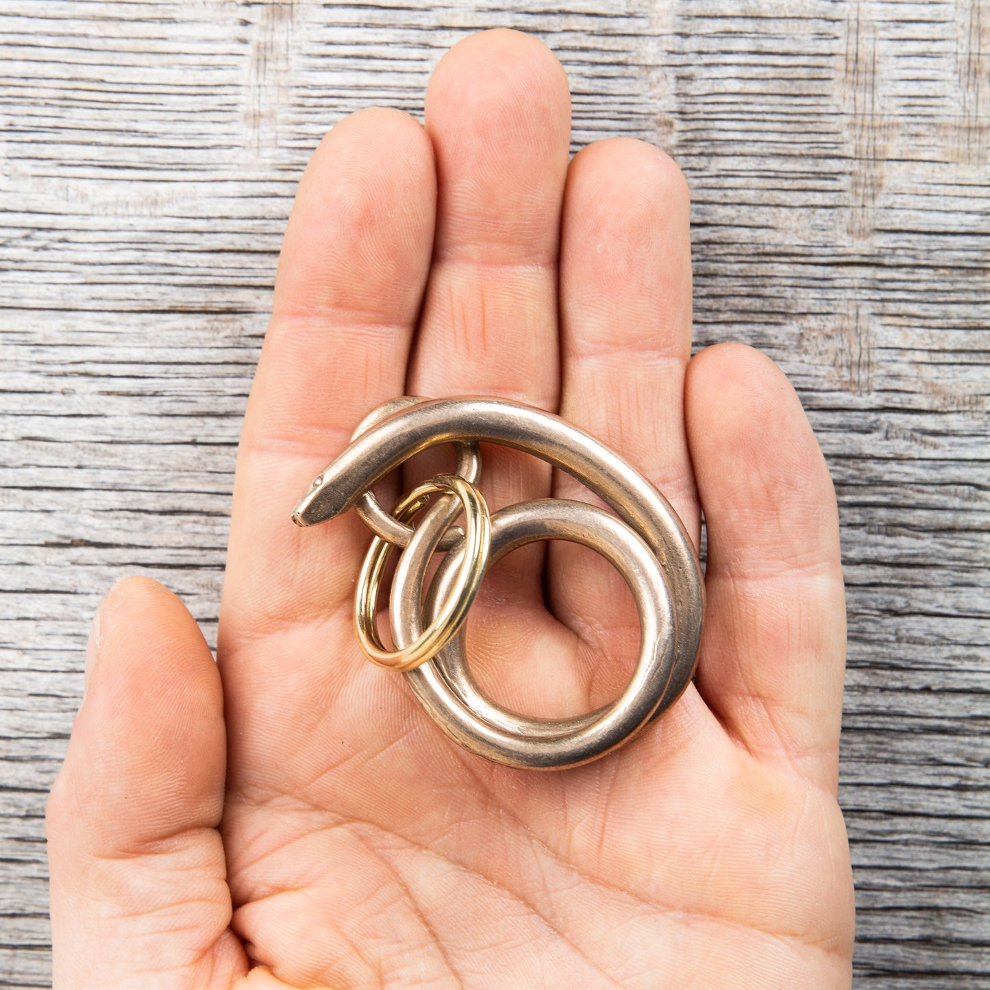 Tender Lost Wax Cast Bronze Slow Worm Keyring