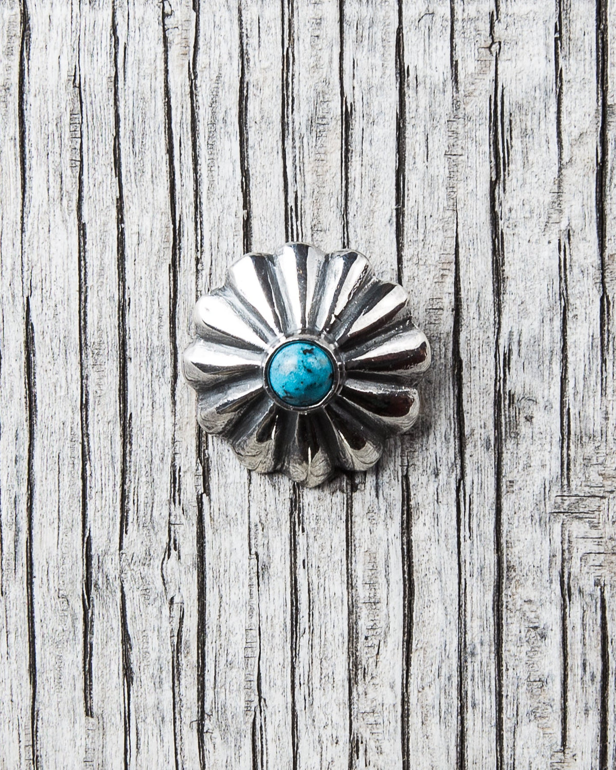 Larry Smith Shell Concha Turquoise Button Medium OT-C0081