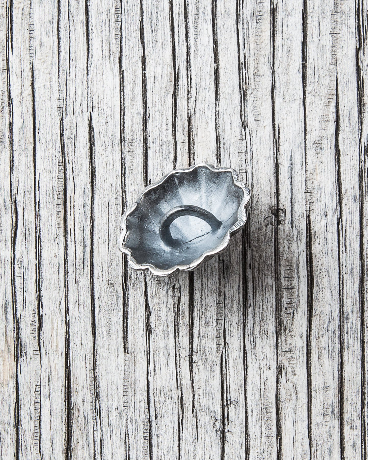 Larry Smith Shell Concha Turquoise Button Medium OT-C0081