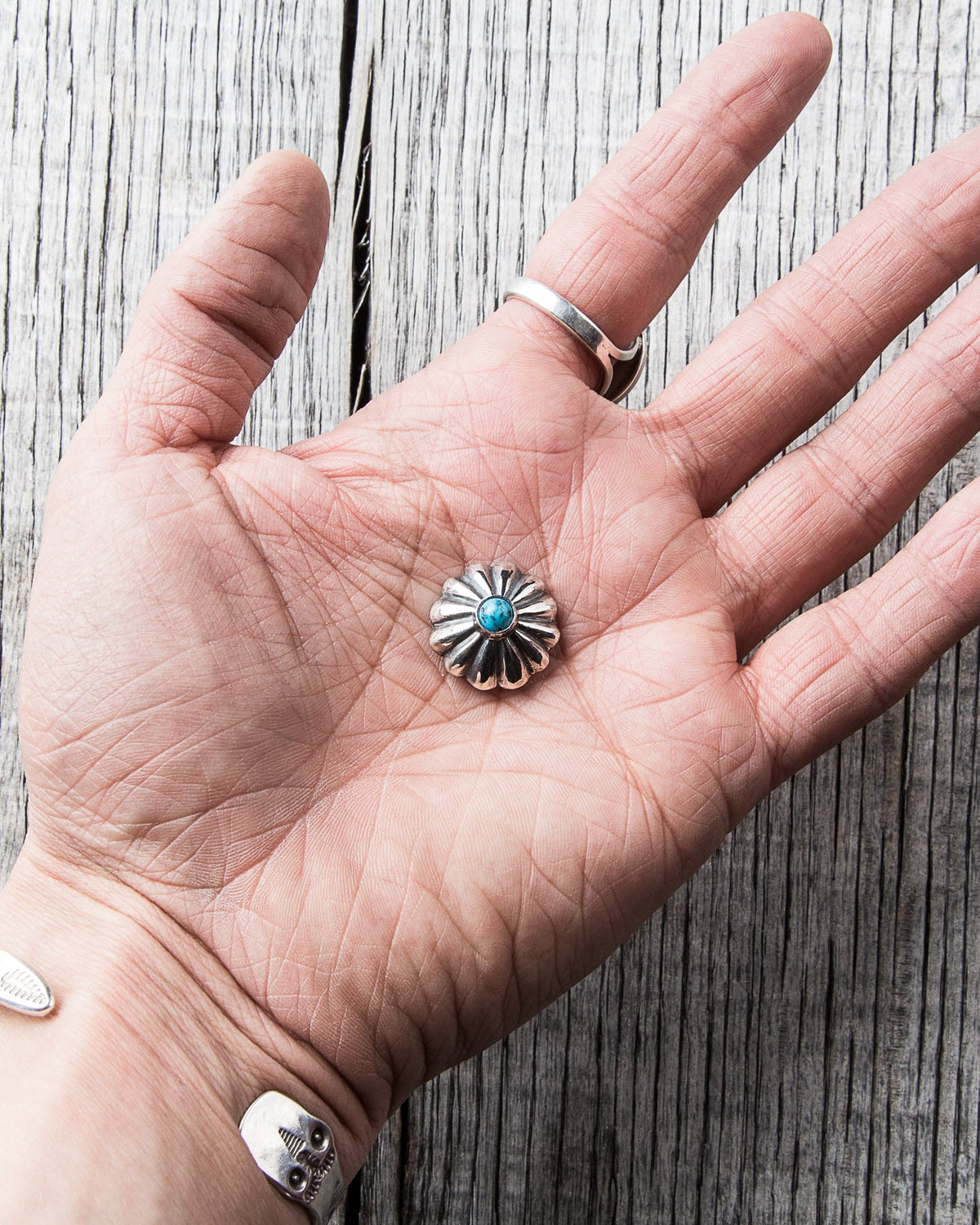 Larry Smith Shell Concha Turquoise Button Medium OT-C0081