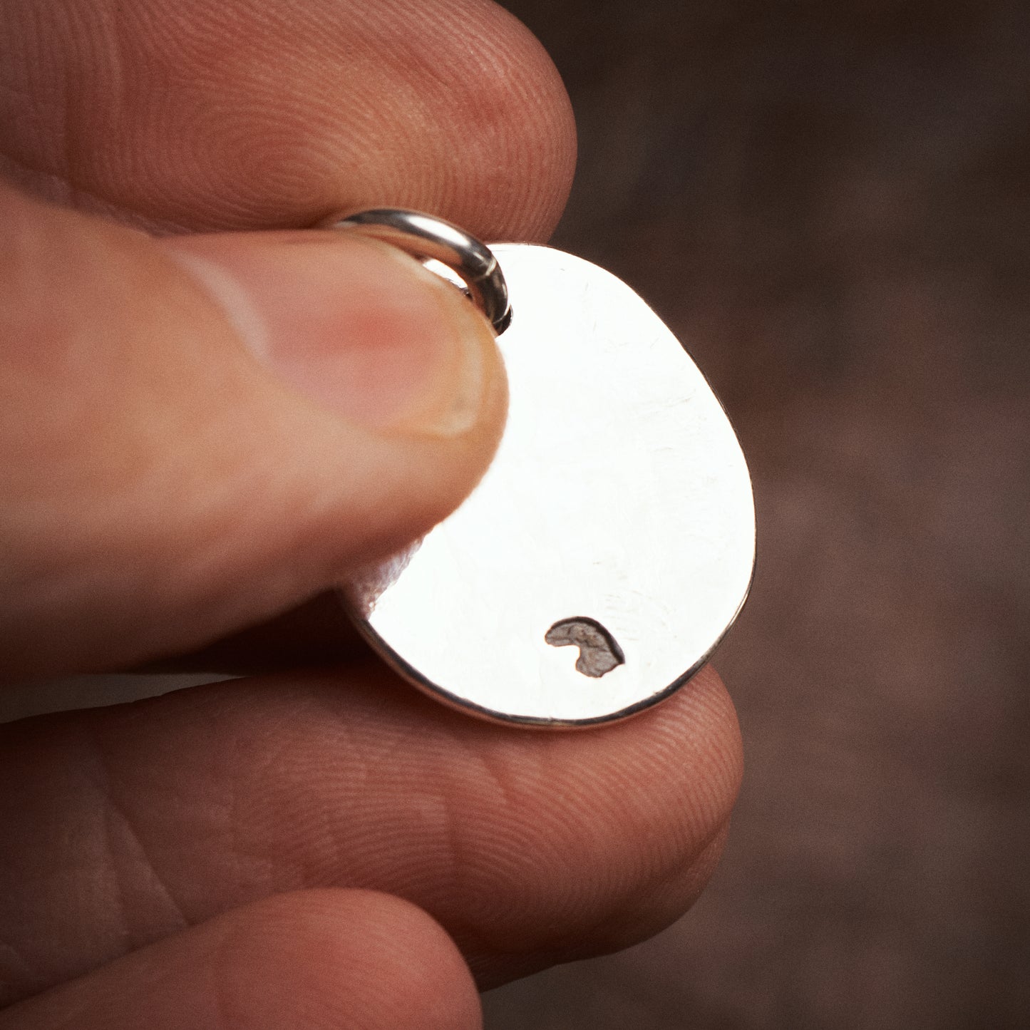 Larry Smith Thunderbird Medal NL-0112